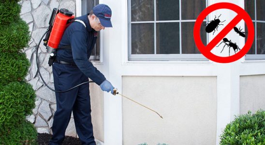 Kocaali Gümüşkurt İlaçlama böcek ilaçlama ve haşere kontrolü — ilaclama-tr.com